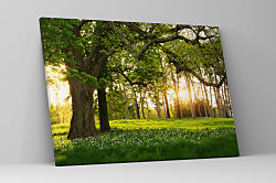 Obraz Potulky po Slovensku 1675